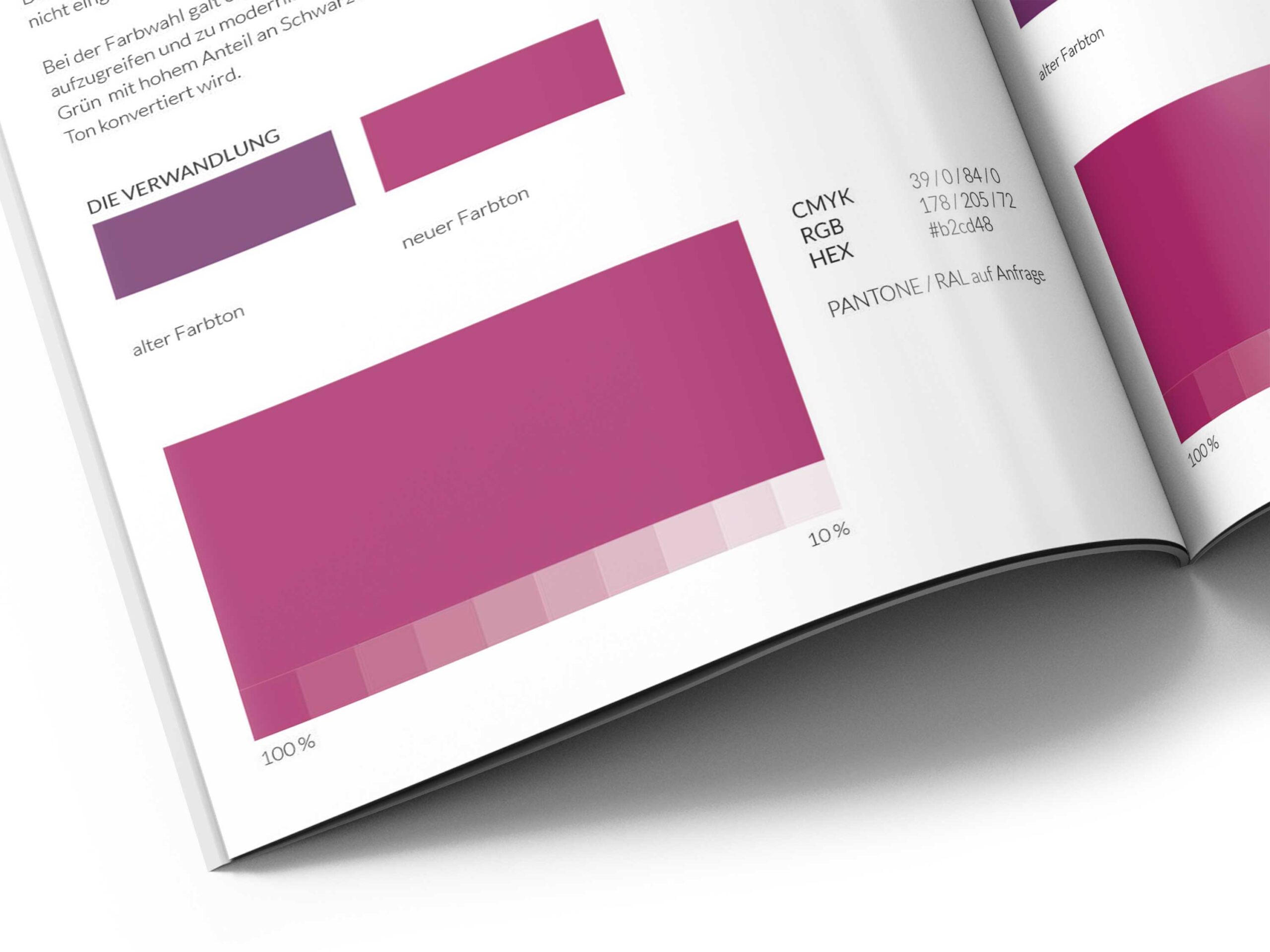Corporate Design Manual: Der Schlüssel zu deinem erfolgreichen Branding